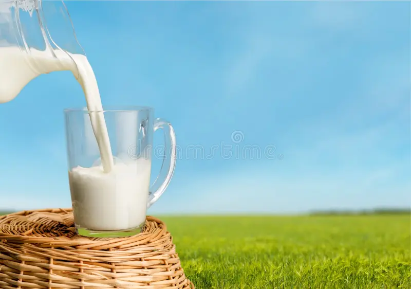milk dairy product pouring glass freshness jug rustic 58669205